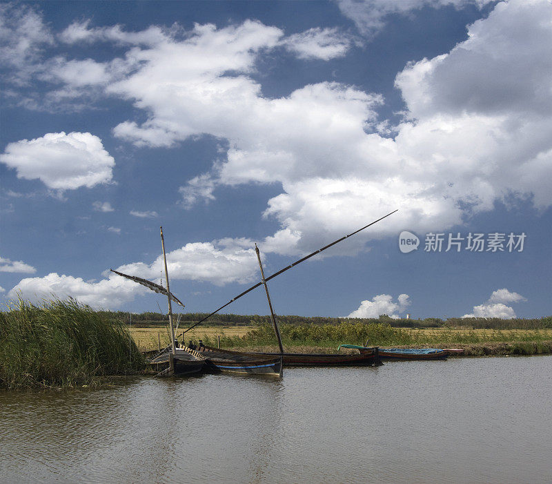 La Albufera，瓦伦西亚，西班牙